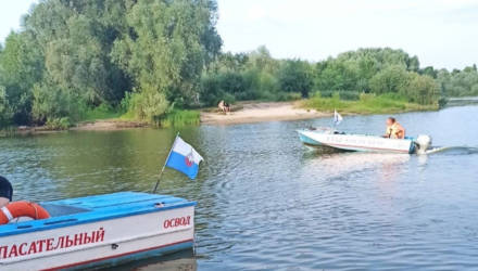 В Гомеле утонул 15-летний школьник, который пытался переплыть Сож