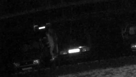 В Гомеле трое угонщиков авто стали звёздами Интернета, попав на видео. Но их пока не нашли