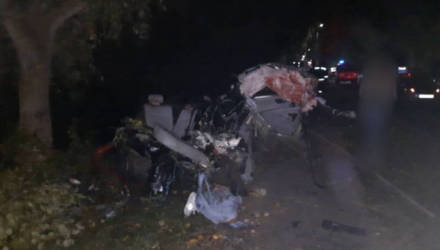 В Светлогорске водитель BMW не справился с управлением и врезался в дерево: погибли двое