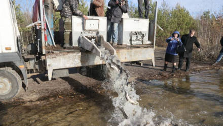 В Днепро-Брагинское водохранилище запустили 1,8 тыс. особей щуки