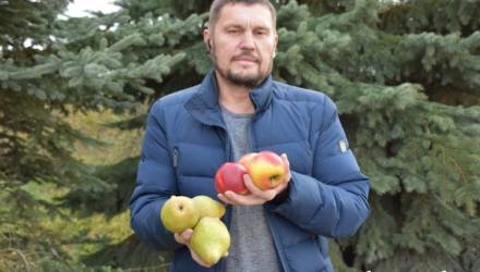 "Начинать свой агробизнес было непросто". Фермер уверен, что отечественными яблоками и грушами можно обеспечить не только гомельчан, но и всю страну