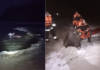 В Ветковском районе работники МЧС спасли лося, который провалился под лёд