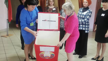 В первый день досрочного голосования больше всего явка была в Гомельской области – ЦИК