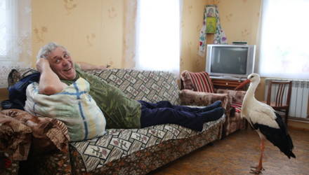 Аист, который три года жил у пенсионеров в Буда-Кошелёвском районе, обрёл новый дом под Гомелем