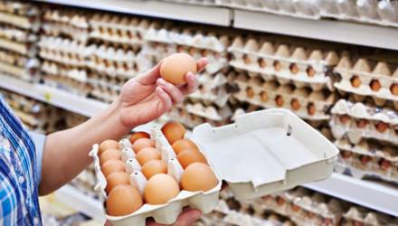 В Беларуси запретили продажу "Эко яиц"