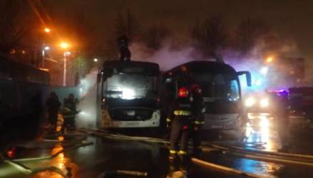 Названа вероятная причина возгорания двух автобусов в Гомеле