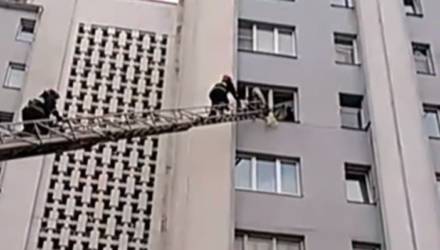 В Гомеле спасли женщину, которая стояла на подоконнике 6-го этажа