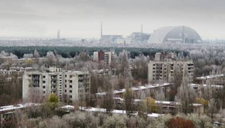 Лес горит в чернобыльской зоне из-за боёв – что с радиацией на Гомельщине?