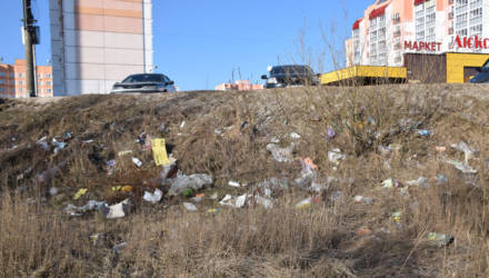 Растаявший в Гомеле снег вскрыл залежи мусора: ситуация в Шведской горке