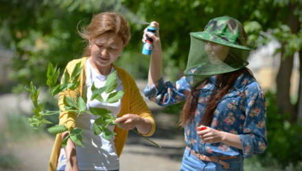 В Беларуси ждут массовый вылет мошек