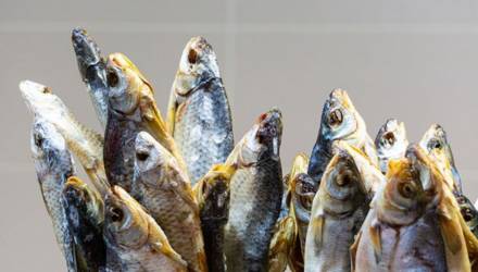 В Гомеле два человека поели рыбы и умерли от редкого смертельного заболевания