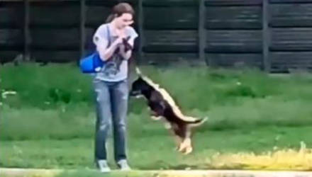 В Гомеле женщина подвешивала собаку за поводок на прогулке. Интернет возмутился жестокостью