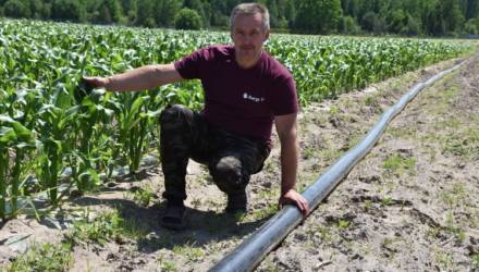 Под Гомелем фермер рассчитывает собрать более 500 тонн белорусских арбузов уже к концу лета