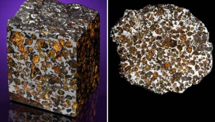 На аукционе Christie’s продали четыре метеорита из Гомельской области стоимостью от 2,5 до 87,5 тысячи долларов