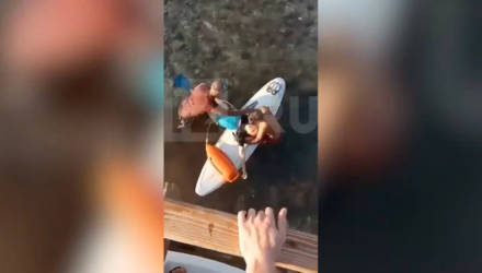 На видео сняли попытки оказать первую помощь туристке в Хургаде, которой акула откусила руку и ногу