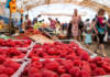 В Гомеле стартовал сезон малины: на рынке ягоду можно найти от 8 рублей за кило
