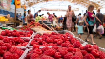 В Гомеле стартовал сезон малины: на рынке ягоду можно найти от 8 рублей за кило