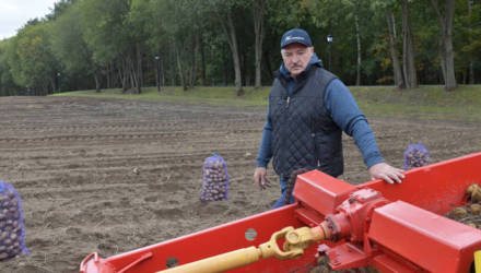 Лукашенко предложил сократить чиновников и отправить работать в сельское хозяйство