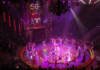 Полный зал и все аплодируют стоя: в Гомеле прошла эффектная премьера "Королевского цирка"