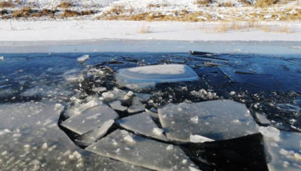 На Гомельщине двое пограничников провалились под лёд и утонули