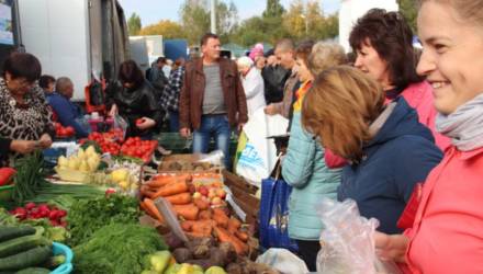 Учёные назвали белорусский овощ ценой 1 рубль за кг, действующий как виагра