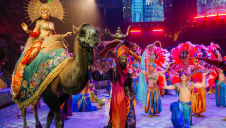 В Гомель к новогодним праздникам везут новое цирковое шоу «Песчаная сказка». Узнали подробности