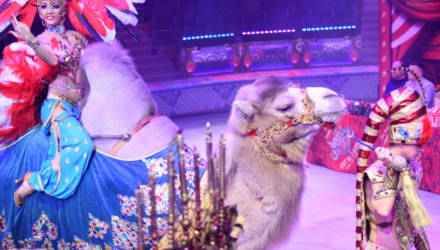 Премьера нового шоу «Песчаная сказка» в Гомельском цирке пройдёт в эту субботу
