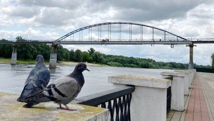 Как добраться до пляжа? Несколько фактов о ремонте пешеходного моста через Сож