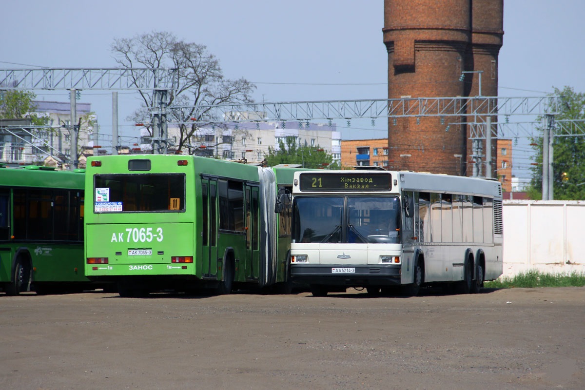 автобусы расписание Гомель