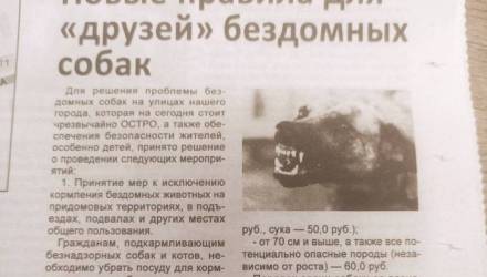 отлов собак ветка
