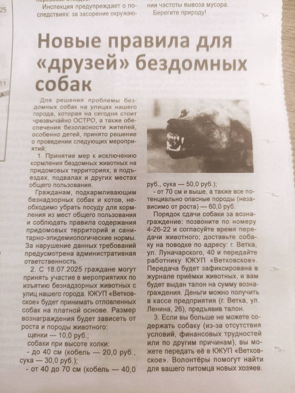 Газета Голос ветковщины отлов