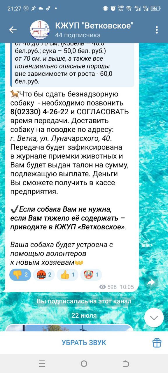 Ветка отлов животных