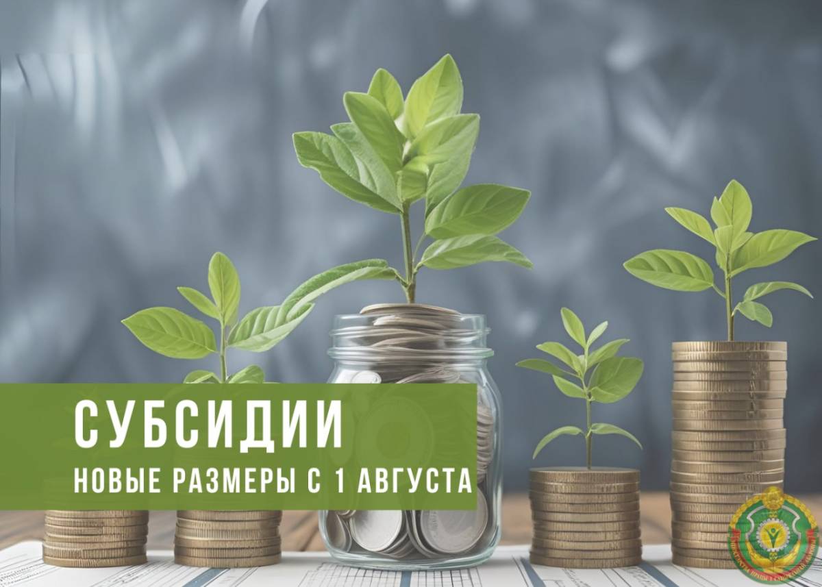 Субсидии на открытие бизнеса