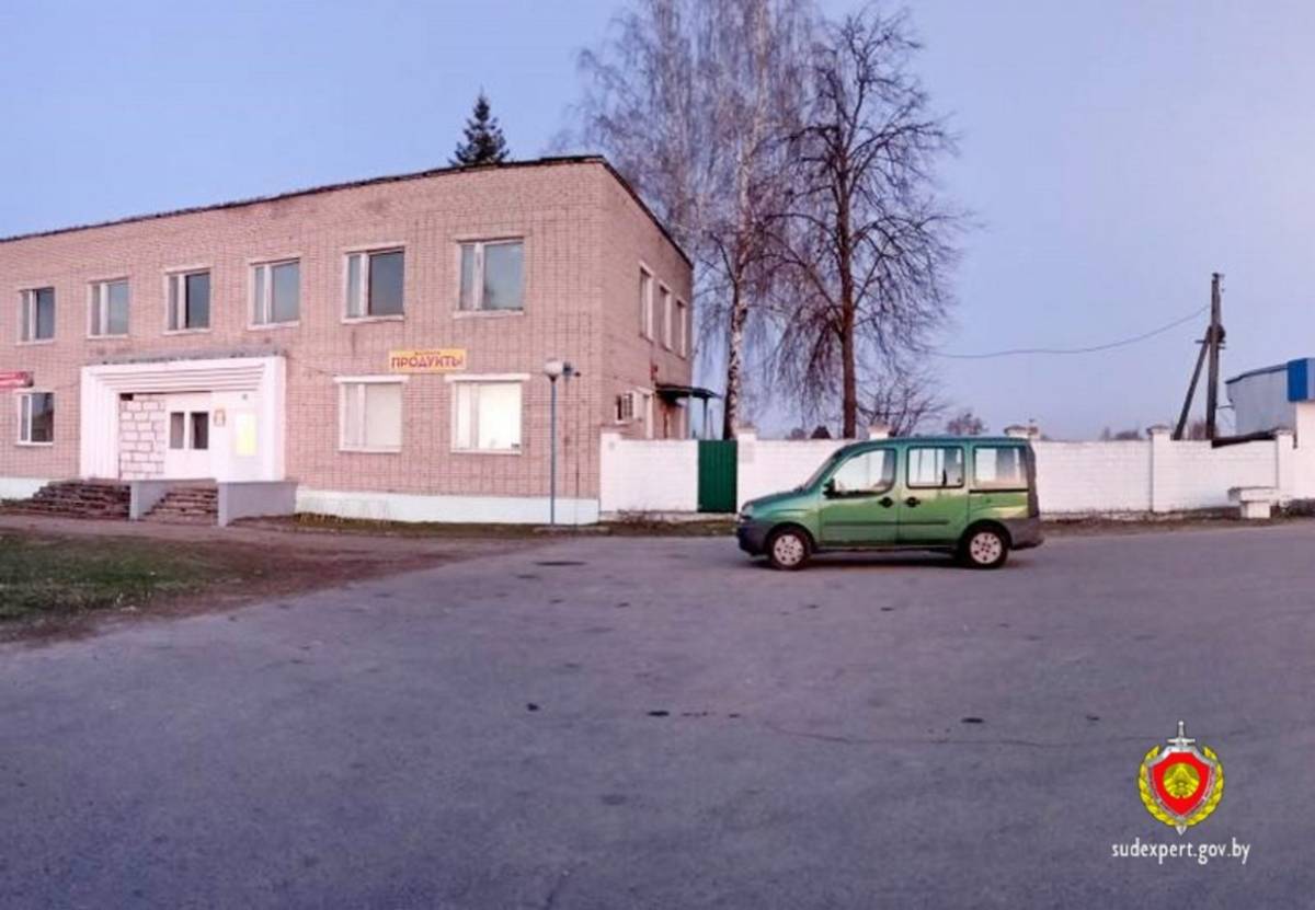 В Ветковском районе угнанное авто нашли по запаху владельца