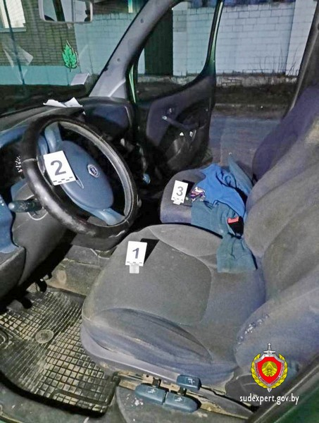 угон авто в Ветке
