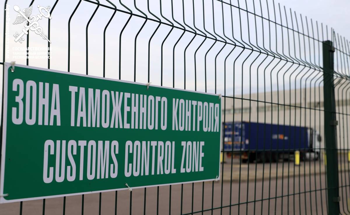 Электроавтомобили на таможне