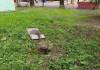 Гомельчанка отсудила у горисполкома 15 тысяч рублей за травму