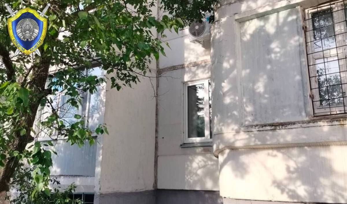 мальчик выпал из окна в гомеле