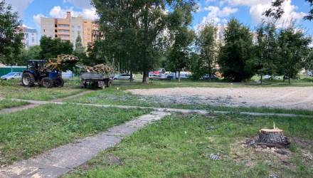 сквер Энергетиков Гомель