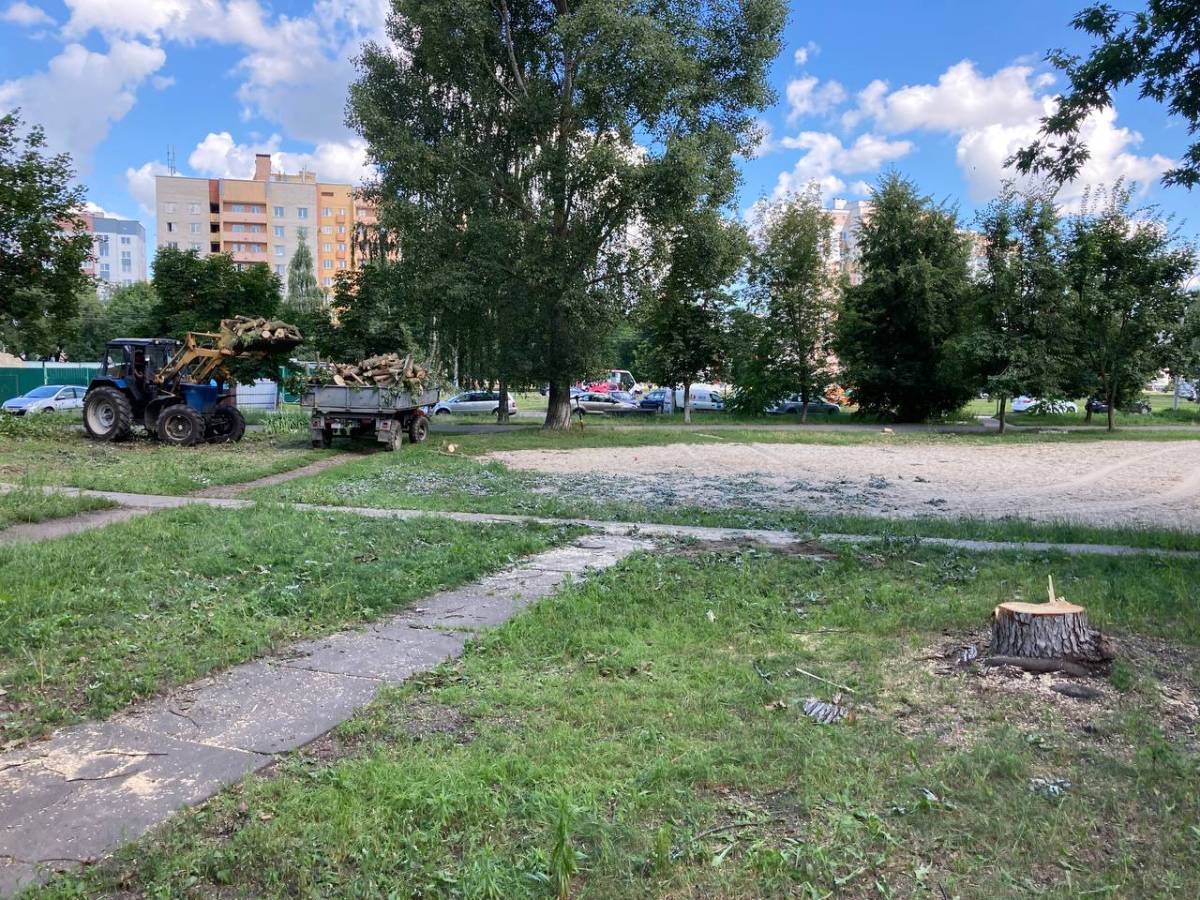 В Советском районе Гомеля начали обустраивать сквер Энергетиков