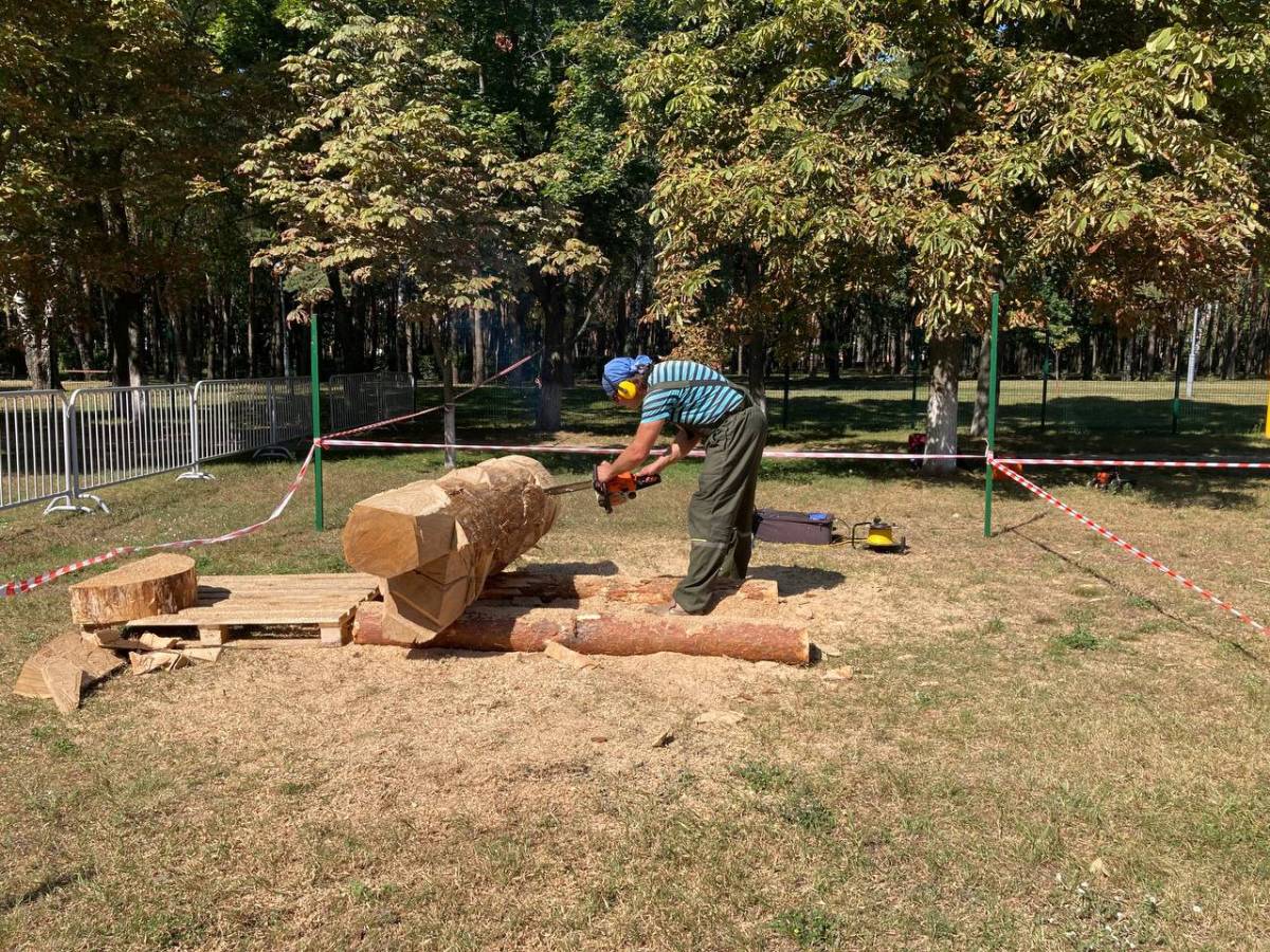 работа мастеров по дереву скульптуры Гомель фестиваль 4