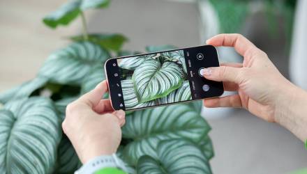 В Беларуси начались продажи флагманского смартфона Huawei Pura 80