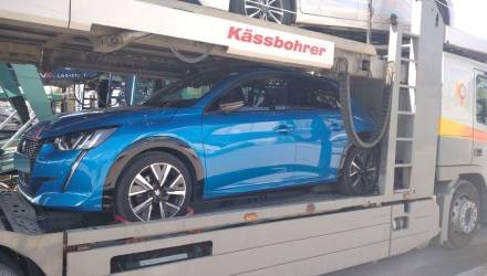 Гомельчанка решила заказать Peugeot 208 из Европы – вот что приехало