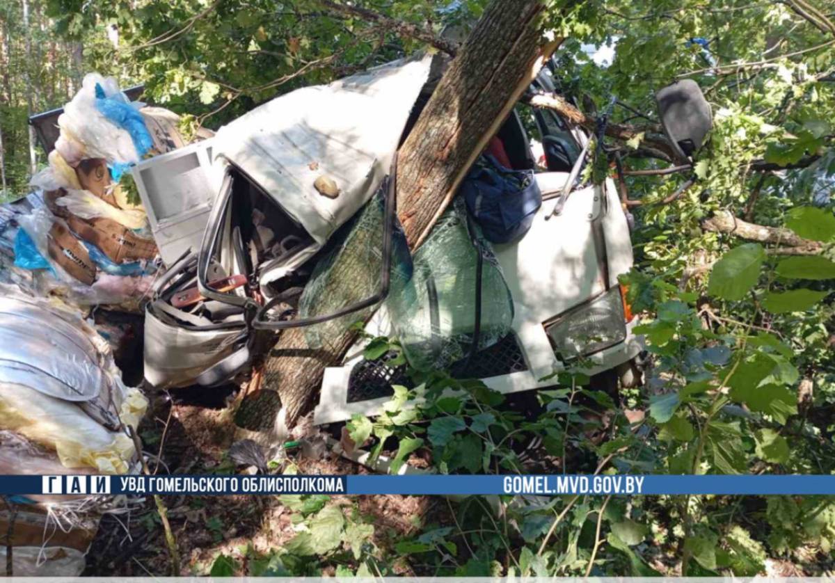 водитель автомобиля Hyundai применил экстренное торможение съехал в кювет и врезался в дерево