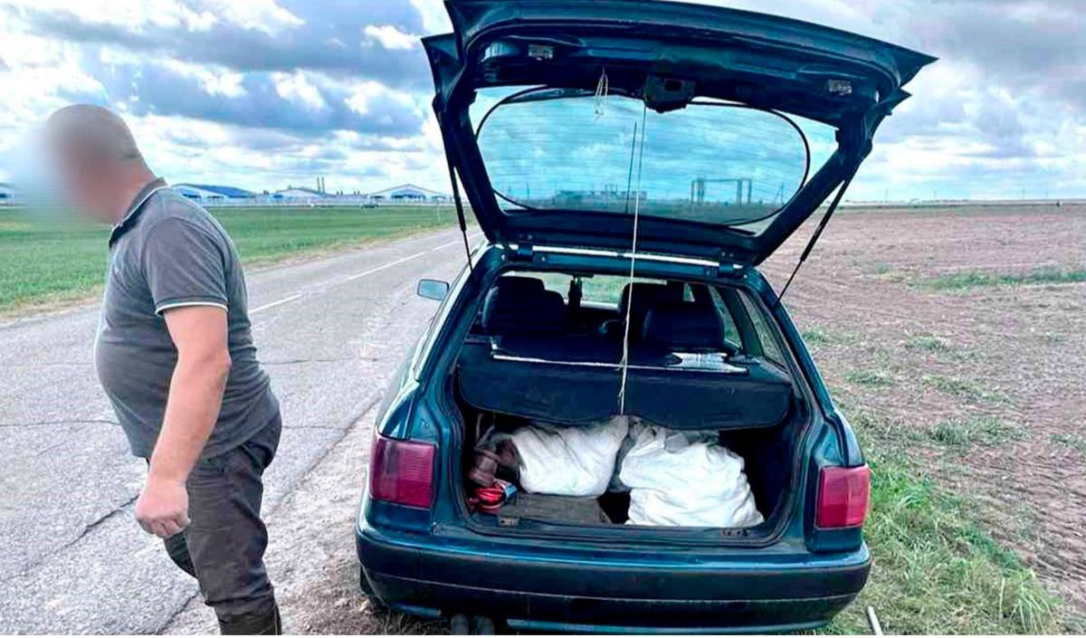 Гомель, ГАИ, происшествия