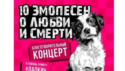 приют для бездомных животных, Лапки,, Гомель