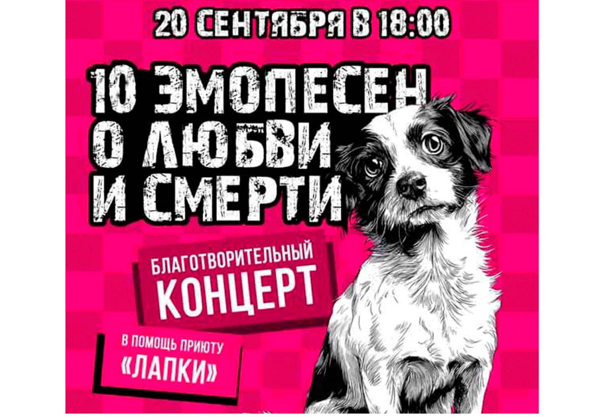 приют для бездомных животных, Лапки,, Гомель