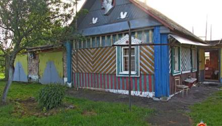 Металлические решётки спасли дом в Мозырском районе от дачного вора