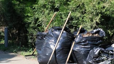 Гомель под контролем чистоты: более 150 участков нарушили санитарные нормы