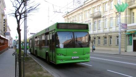 В Гомеле ищут водителей: обучение бесплатное, но есть нюансы